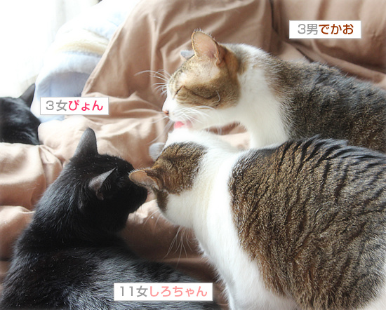 愛され男子_a0389088_18155324.jpg