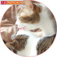 愛され男子_a0389088_18155404.jpg