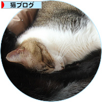 愛され男子_a0389088_18155413.jpg