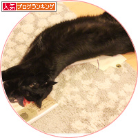 みつきの本ができました！_a0389088_18155537.jpg