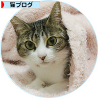 戦いの火ぶたが切って落とされる_a0389088_18155636.jpg