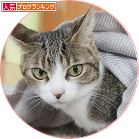 戦いの火ぶたが切って落とされる_a0389088_18155685.jpg