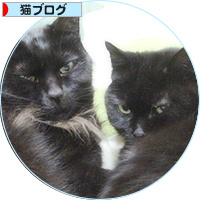のどかだったはずなのに_a0389088_18155704.jpg