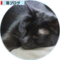 盲点の居場所_a0389088_18155708.jpg