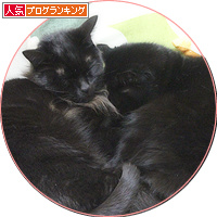 のどかだったはずなのに_a0389088_18155723.jpg