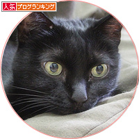 盲点の居場所_a0389088_18155724.jpg