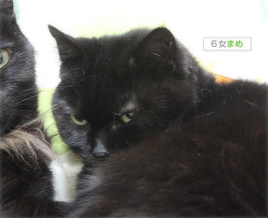 のどかだったはずなのに_a0389088_18155735.jpg