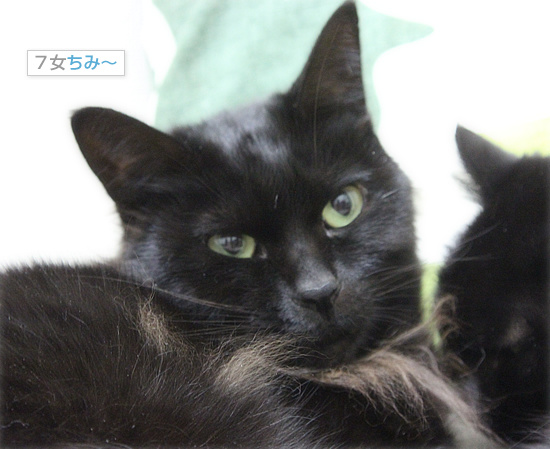 のどかだったはずなのに_a0389088_18155789.jpg