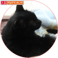 黒猫の白い足_a0389088_18155810.jpg
