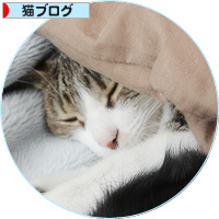 黒猫の白い足_a0389088_18155839.jpg