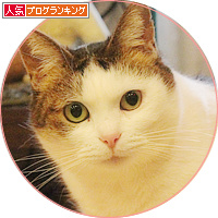 迷惑なシャッターチャンス_a0389088_18160325.jpg