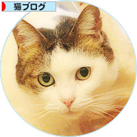 迷惑なシャッターチャンス_a0389088_18160367.jpg