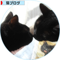 猫の虐待をなくしたい_a0389088_18160441.jpg