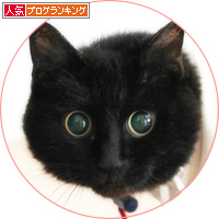 目指せ!○○!みつき本の裏話_a0389088_18160843.jpg