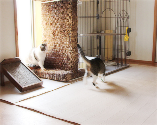 大人もこっそり・・・_a0389088_18161395.jpg