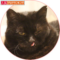 安心してね_a0389088_18161515.jpg