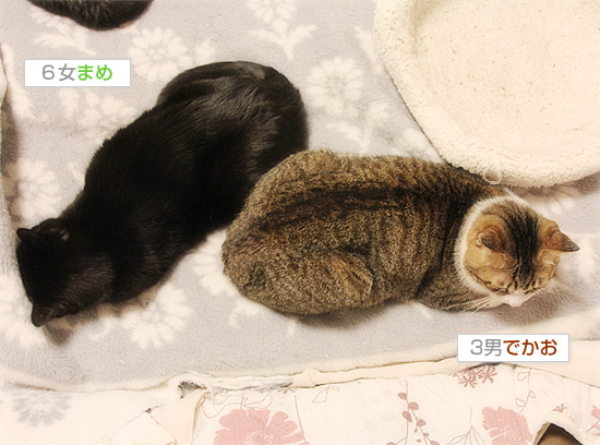 安心してね_a0389088_18161554.jpg