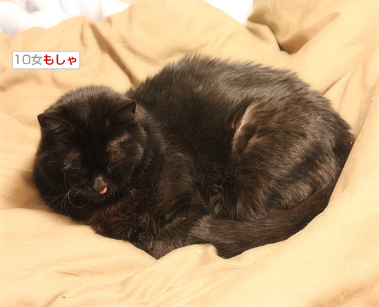 安心してね_a0389088_18161589.jpg
