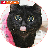 新聞に載ったよ_a0389088_18162092.jpg