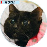 みつきの本、一挙公開!_a0389088_18162213.jpg