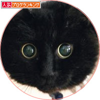 みつきの本、一挙公開!_a0389088_18162232.jpg