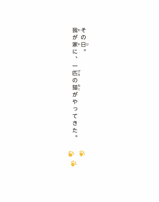 みつきの本、一挙公開!_a0389088_18162269.jpg