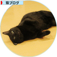 きっと、今、抱きしめてる_a0389088_18165556.jpg