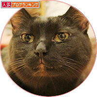 きっと、今、抱きしめてる_a0389088_18165568.jpg