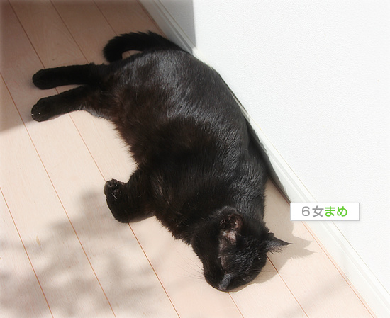 きっと、今、抱きしめてる_a0389088_18165598.jpg