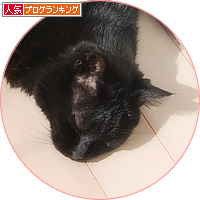 春の猫は_a0389088_18165616.jpg