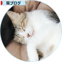 春の猫は_a0389088_18165641.jpg