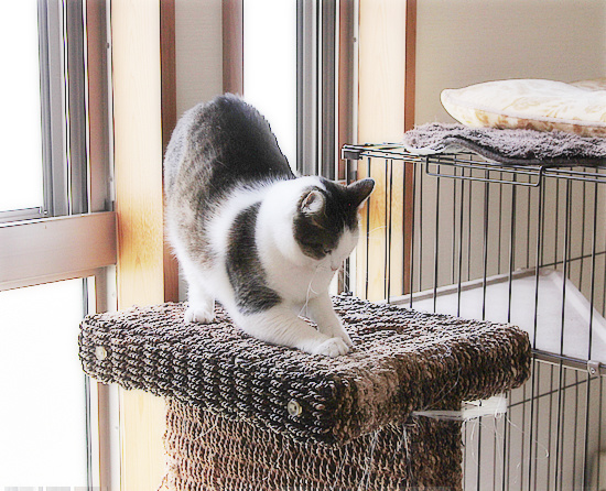 捨てさせて_a0389088_18170711.jpg