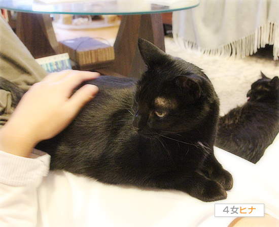 捨てさせて_a0389088_18170731.jpg