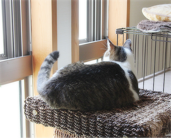 捨てさせて_a0389088_18170770.jpg