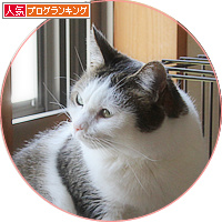 捨てさせて_a0389088_18170794.jpg