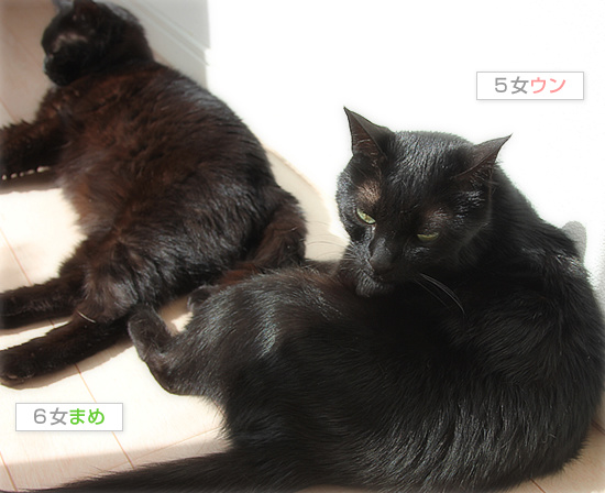 モデルにはまだ遠い_a0389088_18171746.jpg