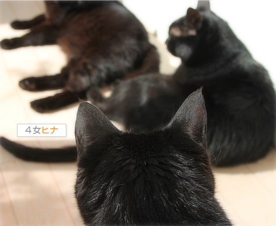 モデルにはまだ遠い_a0389088_18171887.jpg