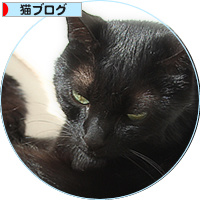 モデルにはまだ遠い_a0389088_18171895.jpg