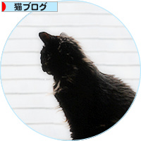早朝の阿吽像_a0389088_18174769.jpg
