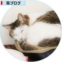 やがてたどり着いた場所は・・・_a0389088_18175411.jpg