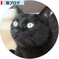 新たな策を考えた_a0389088_18175412.jpg