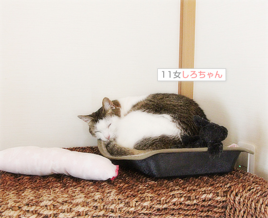 やがてたどり着いた場所は・・・_a0389088_18175418.jpg