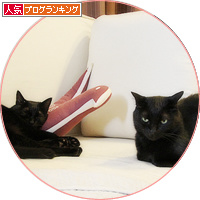 やがてたどり着いた場所は・・・_a0389088_18175437.jpg