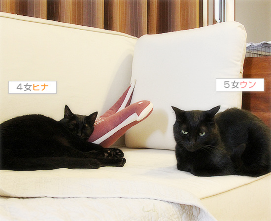 やがてたどり着いた場所は・・・_a0389088_18175483.jpg