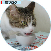 魔法の水の出るところ_a0389088_18175564.jpg