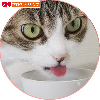 魔法の水の出るところ_a0389088_18175591.jpg