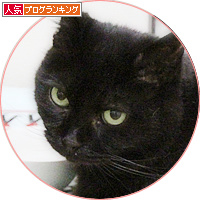 それでも、入っていないとき_a0389088_18175638.jpg