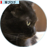 それでも、入っていないとき_a0389088_18175694.jpg