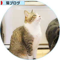 猫の島_a0389088_18175734.jpg