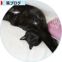 今日の暴君_a0389088_18175928.jpg
